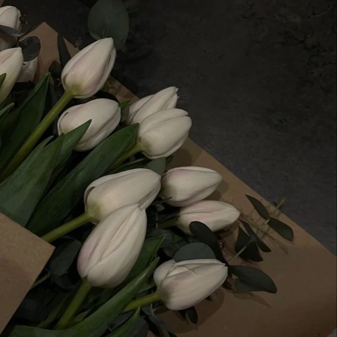 🌷