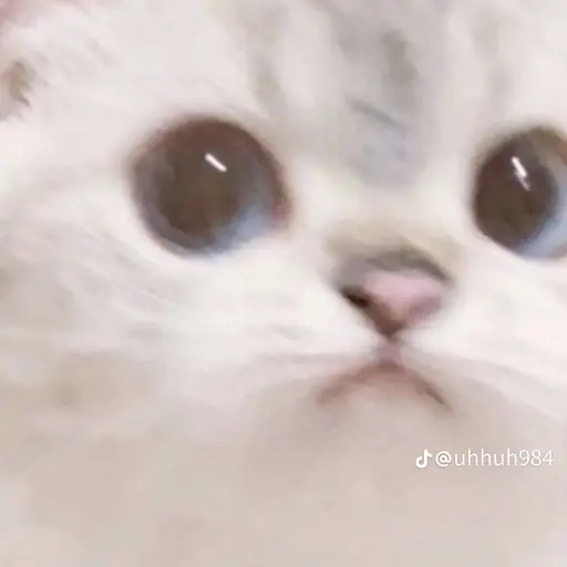 DullPea0205의 이도혁