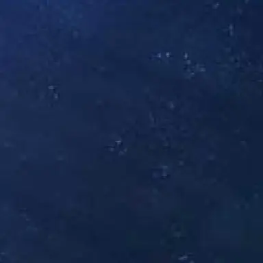 Profile image of 風神蕾波
