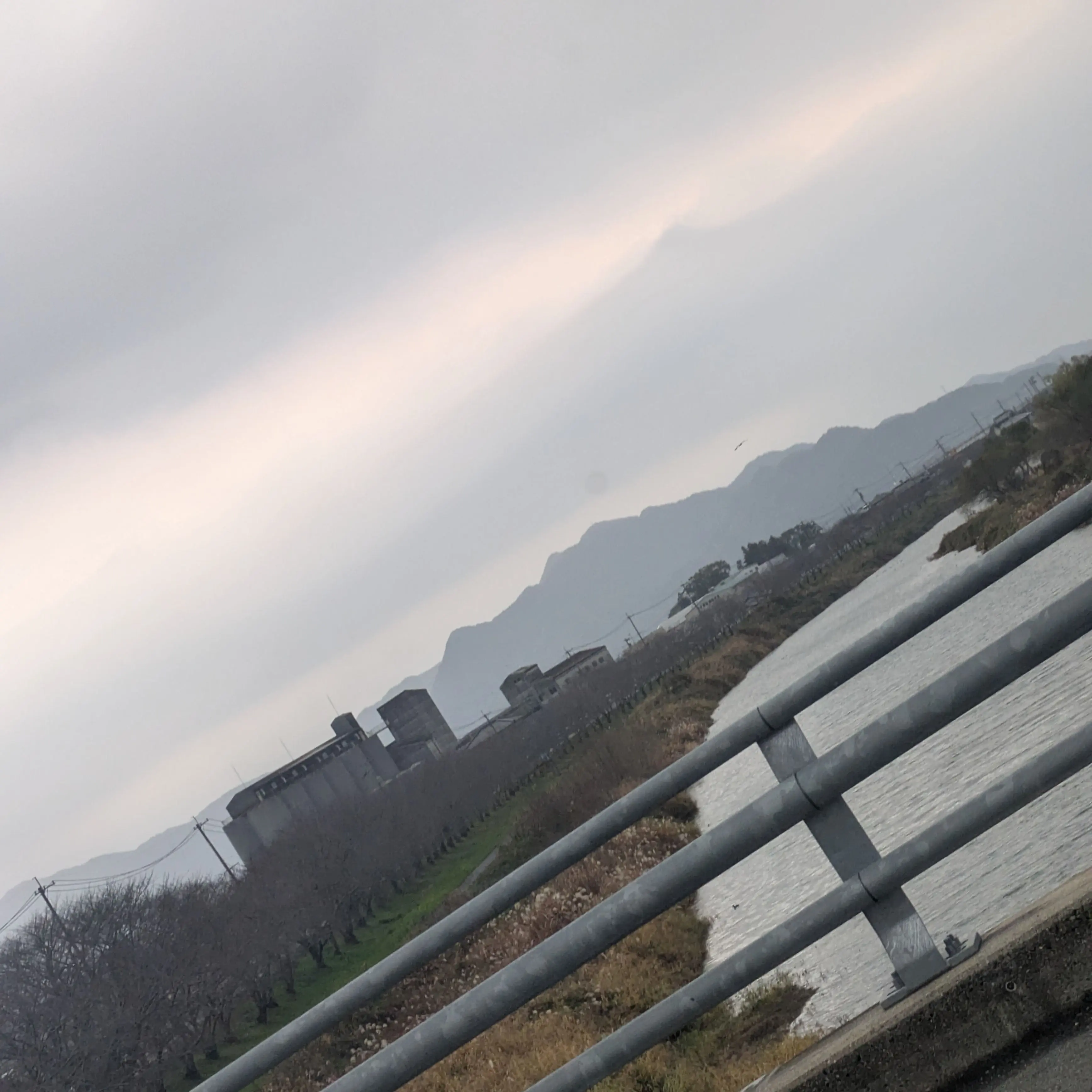 BiasedLever8195의 息子と母親