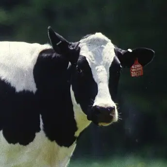 Profile image of 소