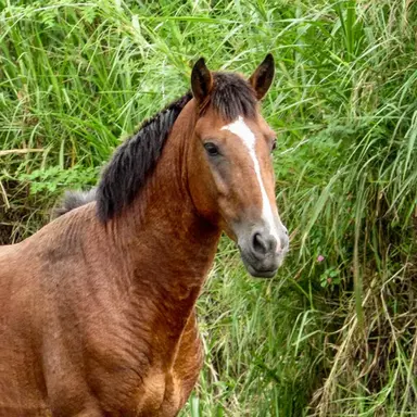 Profile image of 말