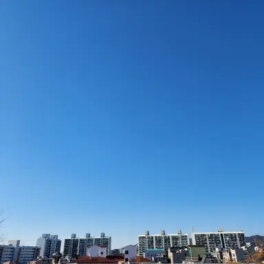 Profile image of 2025