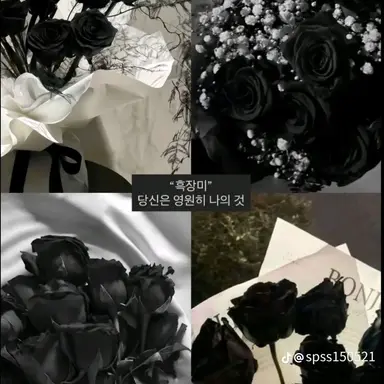 Profile image of 대린