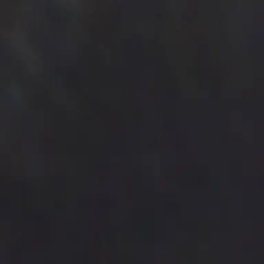 Profile image of 미샤