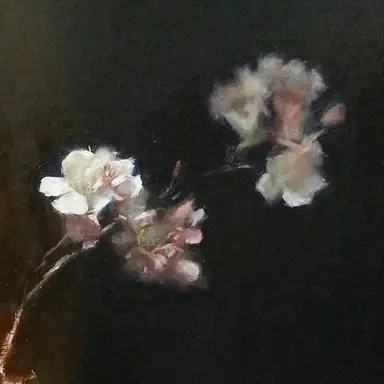 Profile image of Cheon Hui-ye