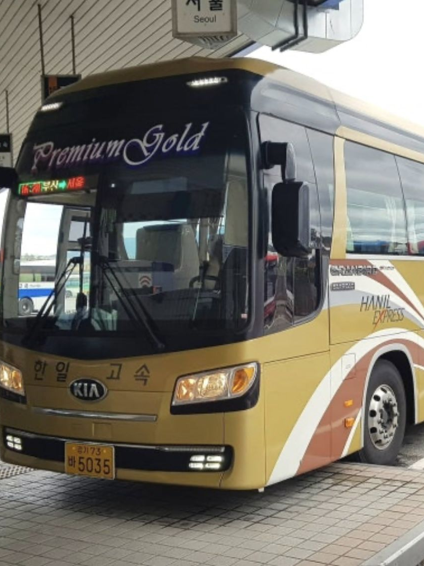 한국버스초등학교에  여우가 전학왔다. 대표 이미지
