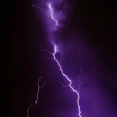 Profile image of Neptune Starstrucks