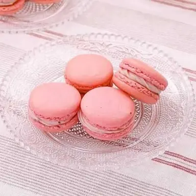 Profile image of 橋本将生