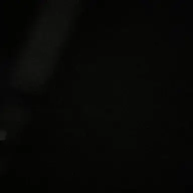 Profile image of 윤채은