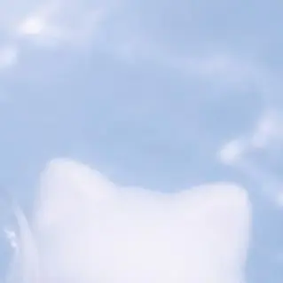 Profile image of 悠の妹