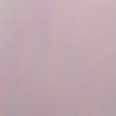 Profile image of 하루의 여동생
