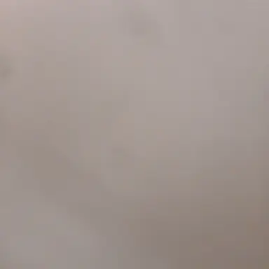 Profile image of 하야카와 아키