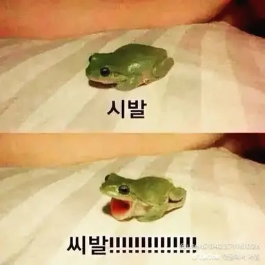 Profile image of 신여우
