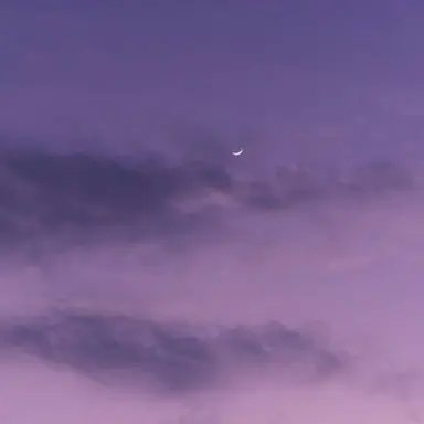 Profile image of 수현