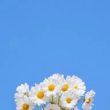 Profile image of 잠뜰