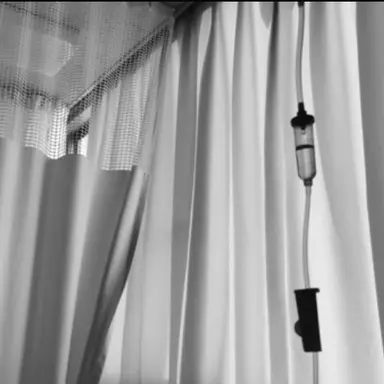 Profile image of 渡会雲雀