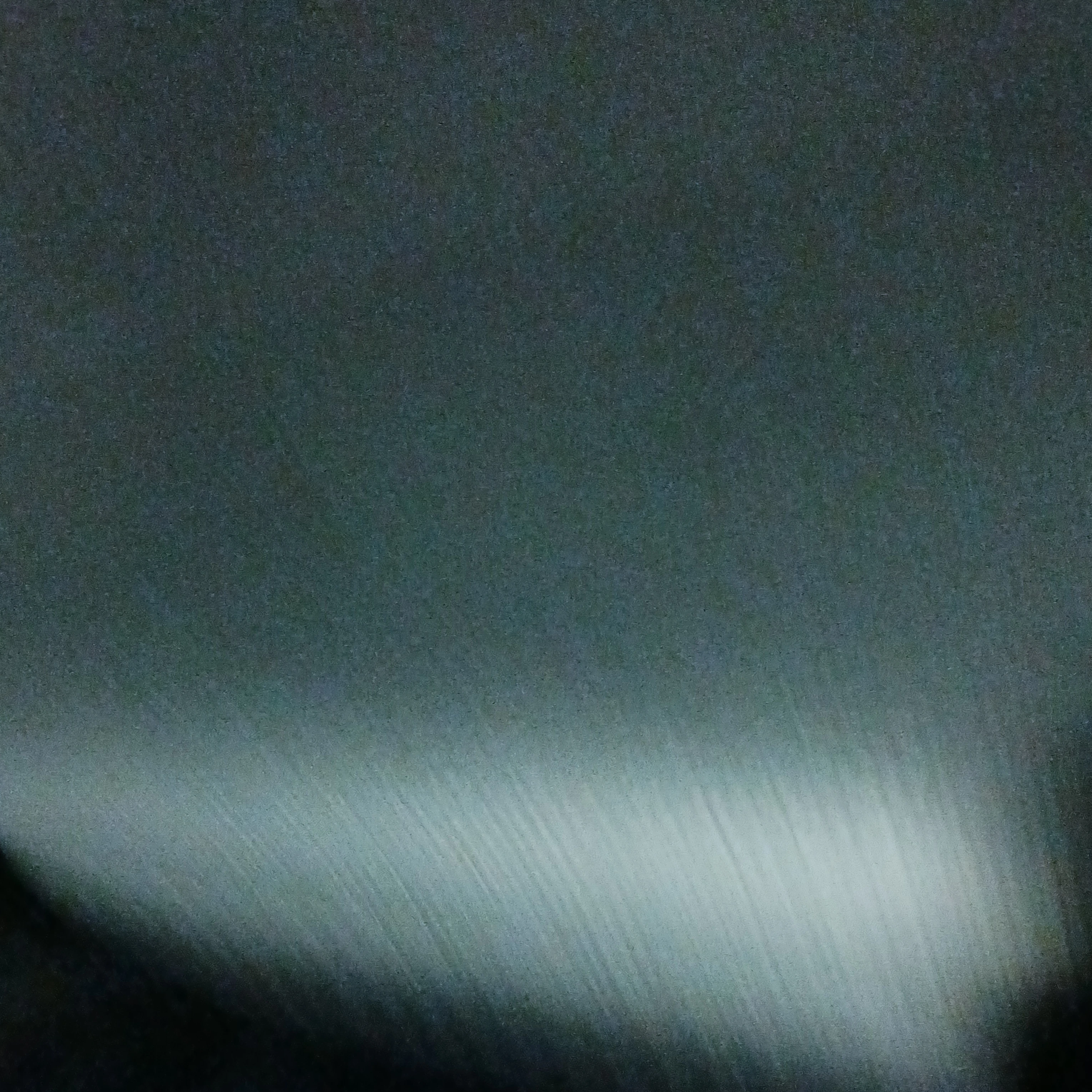 백지원