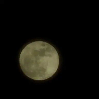 Profile image of ㅇㅅㅎ 무용쌤
