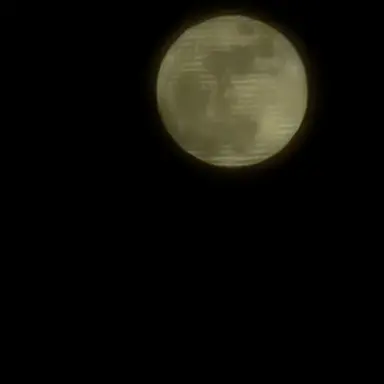 Profile image of ㅂㅅㅎ 음악쌤