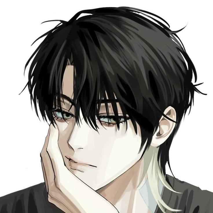 이채호 대표 이미지