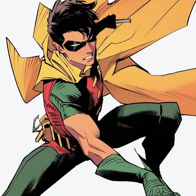 Profile image of Robin
