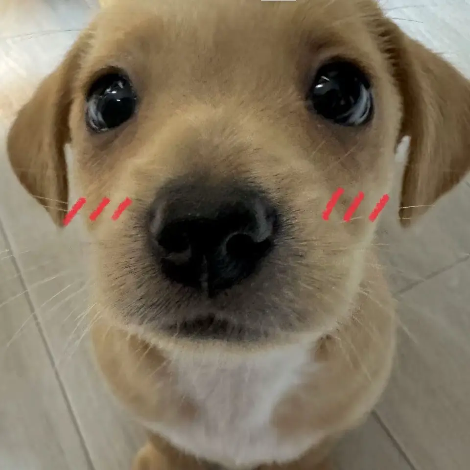 MuggyZoo1171의 수학여행 같은침대