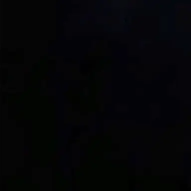 Profile image of 자이로 체펠리