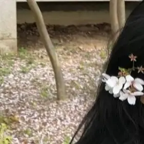 Profile image of 백지헌