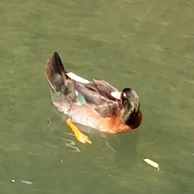 Profile image of 박정호