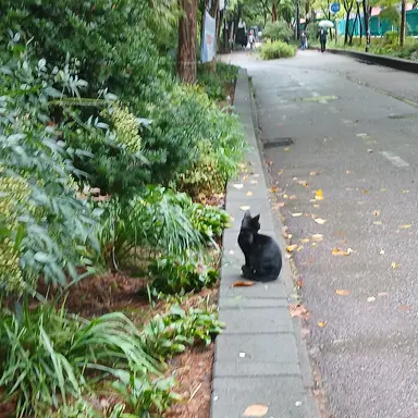 Profile image of 잭