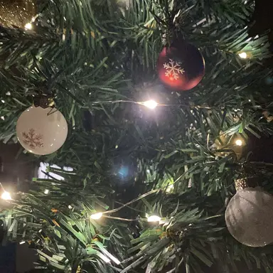 Profile image of 멜로우