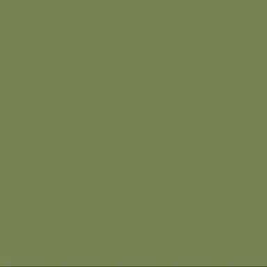 Profile image of ゾム