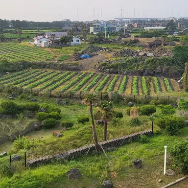 Profile image of 공룡