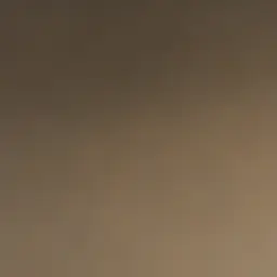 Profile image of 린의 어머니
