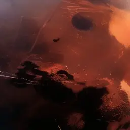 Profile image of 火星
