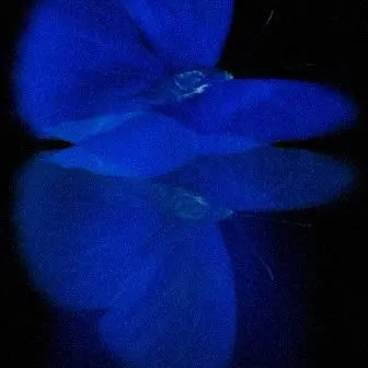 Profile image of 정공룡