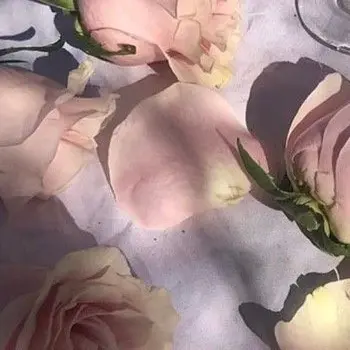 Profile image of 영애4