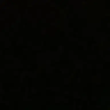 Profile image of 헌터세계관