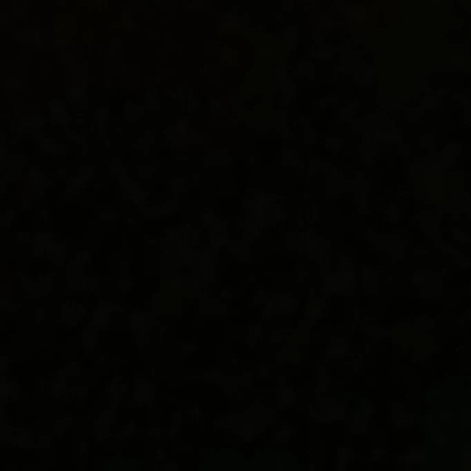 헌터세계관