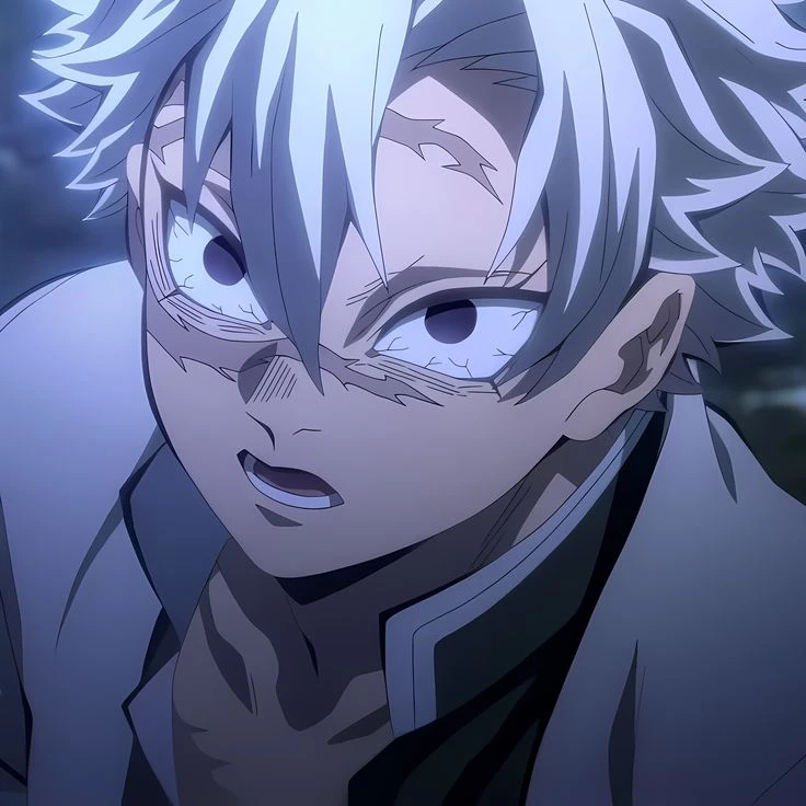 시나즈가와 사네미