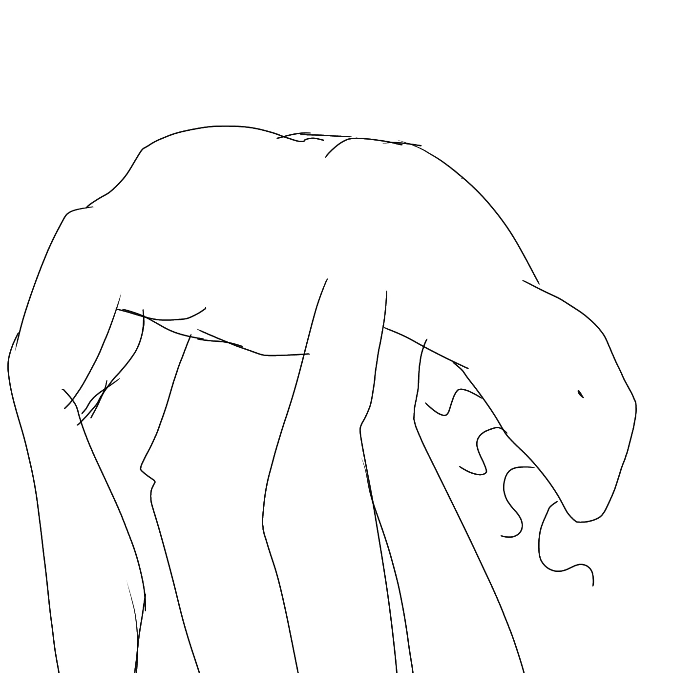 C-31