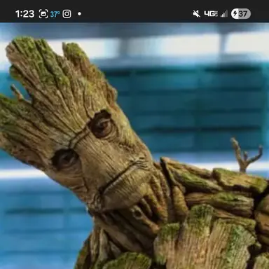 Profile image of Groot