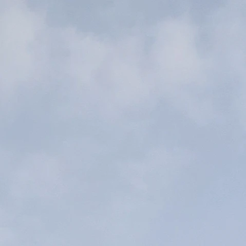 윤정핝