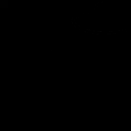 Profile image of 선생님