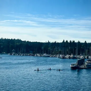 Profile image of ベビモン