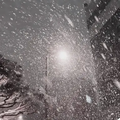 Profile image of 박덕개