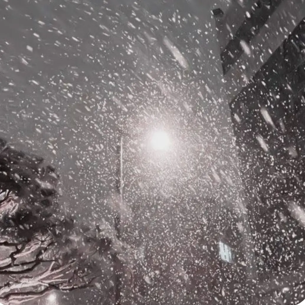 cheawon_07의 설화 (雪花)