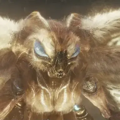 Profile image of 모스라