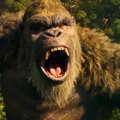 Profile image of 킹콩